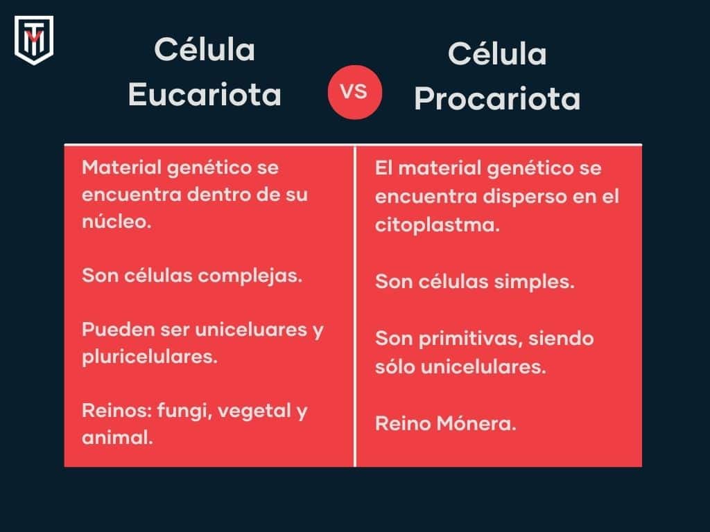Célula eucariota y procariota cuadro comparativo
