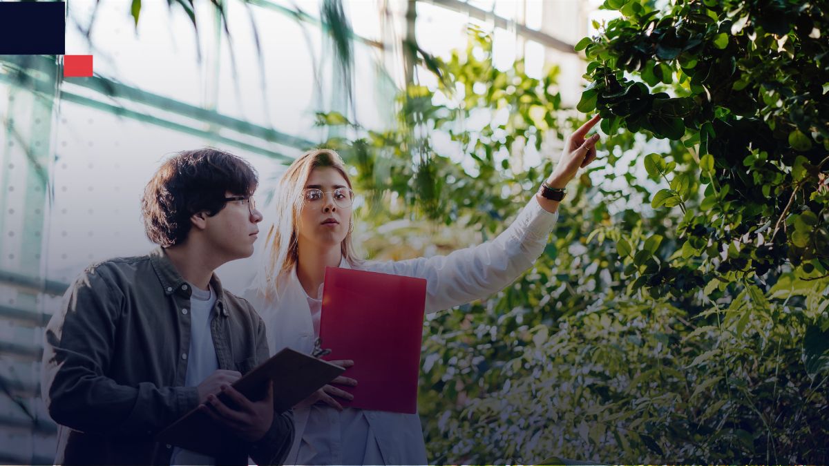 tesis de ingeniería agronómica