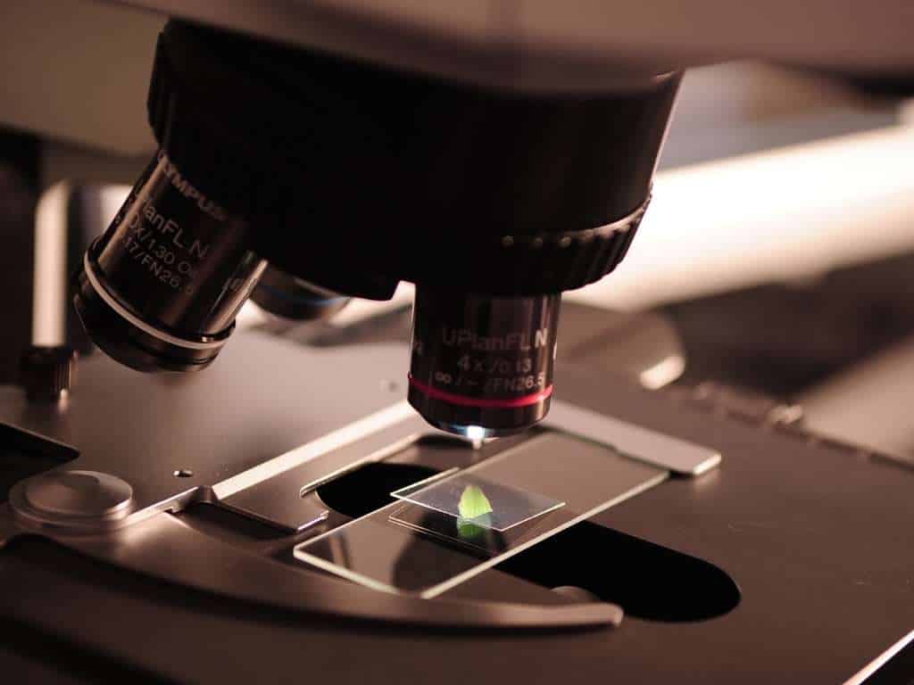 ¿Cómo podemos ayudarte a finalizar tu tesis de ingeniería química?