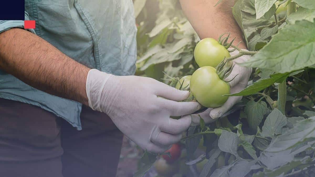 ingeniería agrícola