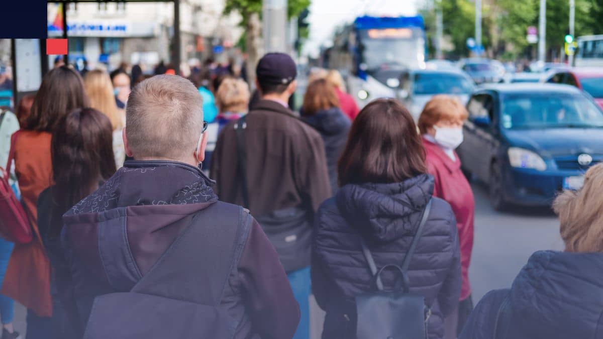 muestreo bola de nieve